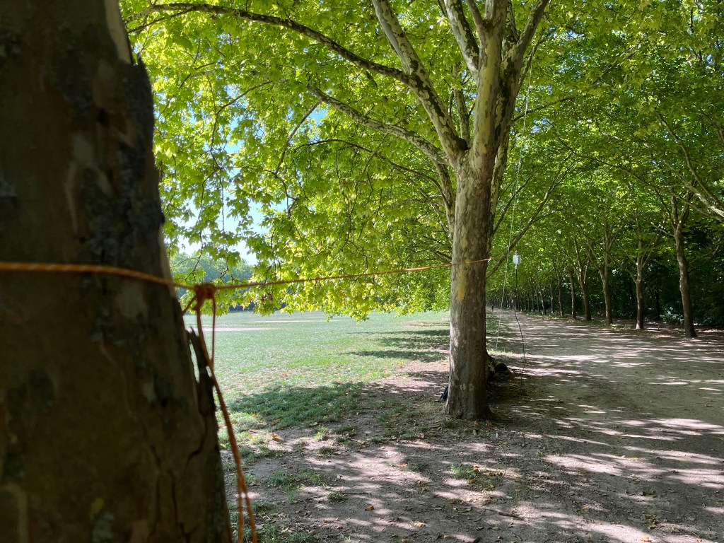 FT8 et Xiegu G90 Sans Câble en&nbsp;POTA