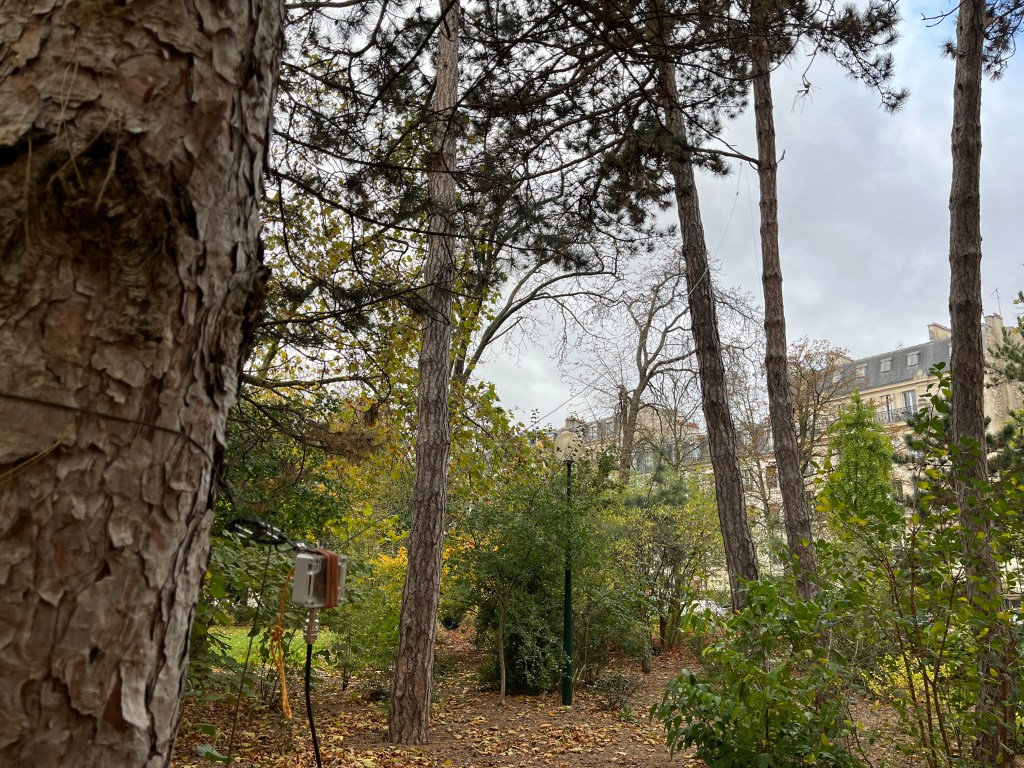 Activation CW en&nbsp;44min