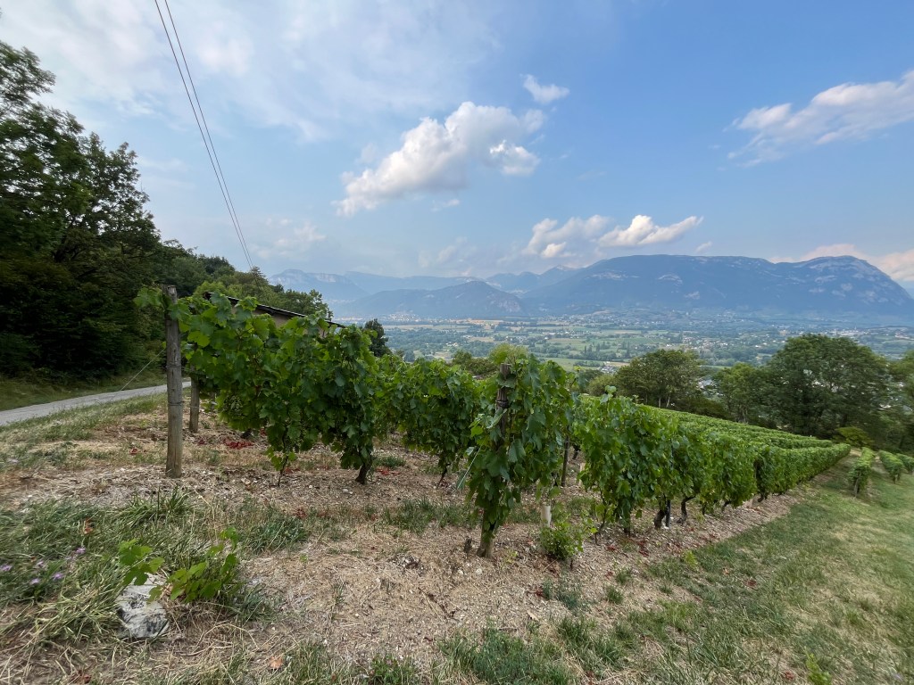 POTA en Chartreuse&nbsp;FR-13265